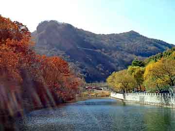 澳门天天免费精准大全，除油器